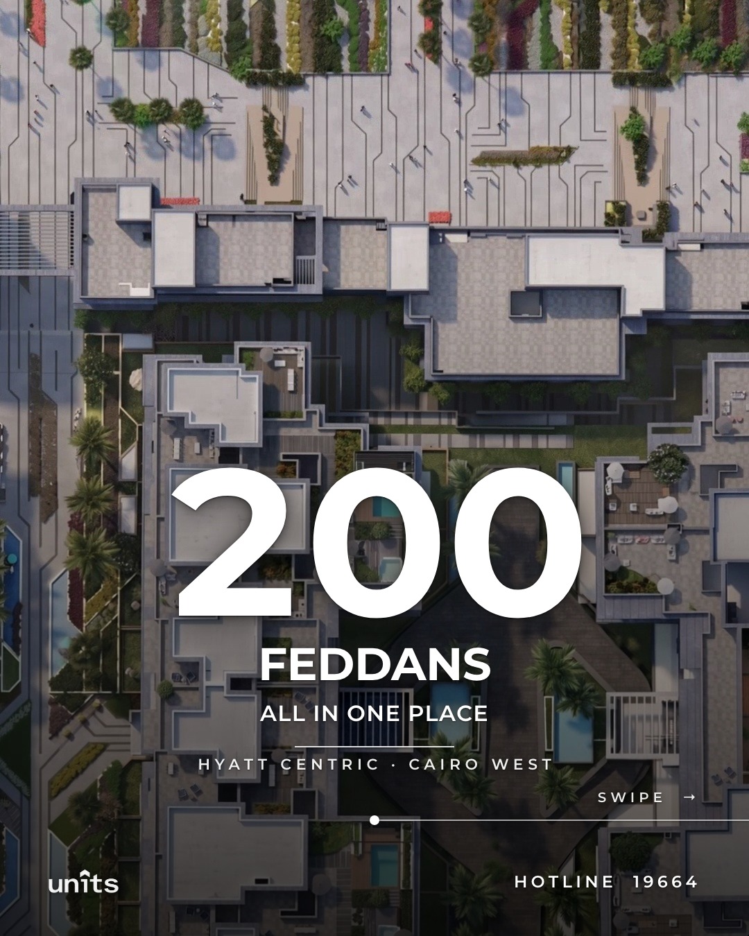 200 feddans, all in one place